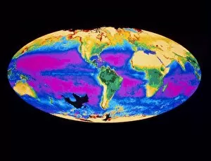 Images Dated 7th January 2004: Satellite image of the Earths biosphere