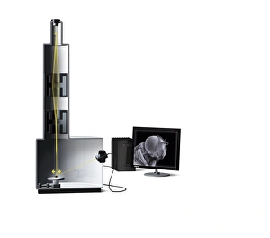 Electron Microscopy Images Prints: Scanning electron microscope, artwork