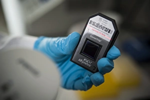 Scanning Genetic Microarray Print