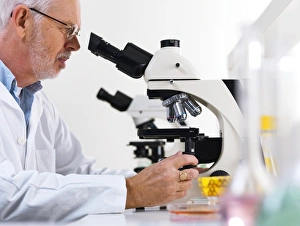 Laboratory Equipment Use Prints: Scientist using a light microscope F006 / 9023
