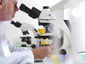 Scientific Research Methods Prints: Scientist using a light microscope F006 / 9029