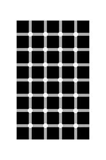 Scintillating Grid Illusion Print