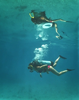 Scuba Diving Prints: Scuba diver
