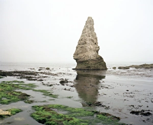 Dorset Coast Prints: Sea stack
