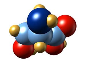 Amino Acid Structure Prints: Serine, molecular model