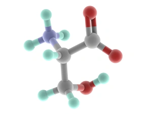 Serine Molecule Print, Grey and Coloured Atomic Model
