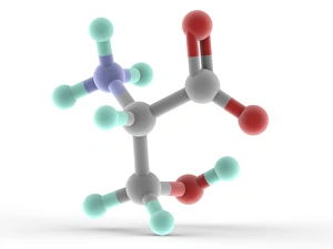 Prints of Serine, molecular model. Non-essential proteinogenic amino acid. Atoms are represented as spheres and are colour-coded: carbon (grey), hydrogen (blue-green), nitrogen (blue) and oxygen (red) Images Dated 2013 January: Serine Molecule Print, Molecular Model
