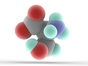 Serine Molecule Print: 3D Model of Non-Essential Amino Acid