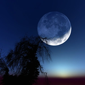 Setting Moon Print