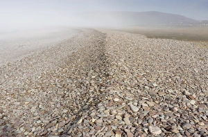 British Seaside Scene Prints: Shingle on a beach