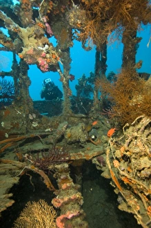 West Papua Underwater Scene Prints: Shipwreck interior