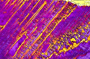 Polarised Light Micrograph Prints: Silver nitrate crystals