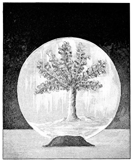 French Popular Science Weekly Prints: Silver plating, 19th century