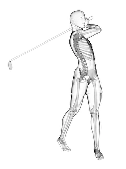 Computer Generated Art Prints: Skeleton playing golf, artwork