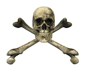 Skull And Crossbones Image Prints: Skull and cross bones