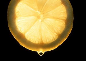 Lemon Slice Prints: Slice of lemon