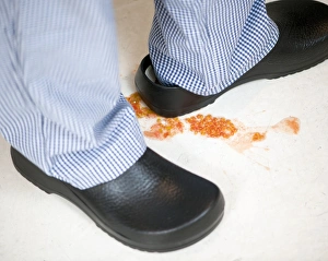 Prints of MODEL RELEASED. Slip hazard. Tomato seeds on a kitchen floor Images Dated 2012 November: Kitchen Floor Slip Hazard Print