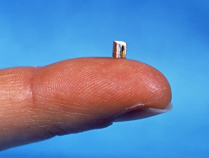 The Smallest Print Book in the World