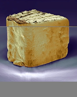 Prints of Smallest book in the world. Coloured scanning electron micrograph (SEM) of the smallest published book in the world. This tiny leather- bound volume measures just 2.4 by 2.9 millimetres in page area Images Dated 2003 January: SEM Print of the Smallest Book in the World