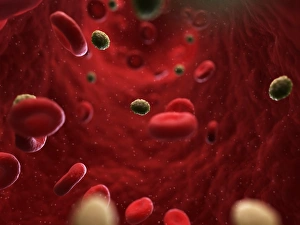 Medical Computer Graphics Prints: Smallpox infection, artwork