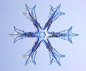 Dendritic Snowflake Print