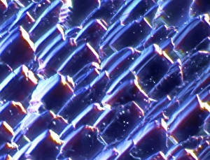 Environmentally Friendly Power Generation Prints: Solar cell, micrograph