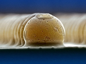 SEM Images Prints: Solder bumps, SEM