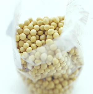 Soya Bean Print