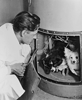 Sputnik Prints: Space Dogs Print: Damka and Kozyavka in Space Capsule