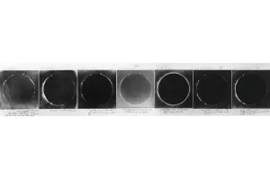 Solar Eclipse Photography Prints: Total solar eclipse, 1860