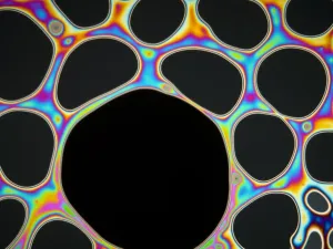 Interference Pattern Print