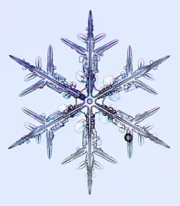 Images Dated 13th August 2009: Hexagonal Ice Crystal Print