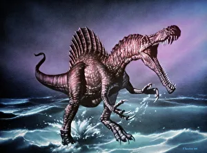Spinosaurus Dinosaur Prints: Spinosaurus dinosaur