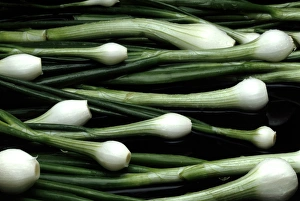 Spring Onions Prints: Spring onions
