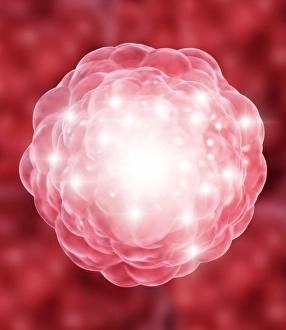 Stem Cell Biology Prints: Stem cell, conceptual artwork