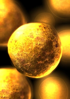 Stem Cell Research Prints: Stem cells