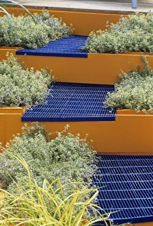 Garden Design Ideas Prints: Steps in a garden