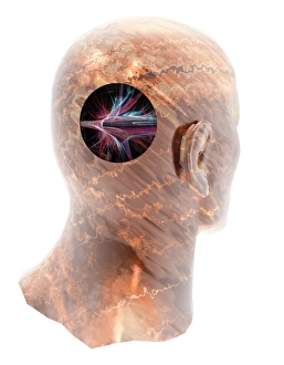 Human Head with Bursting Blood Vessel Print