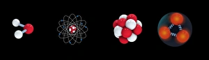 Standard Model Print - Particle Structure