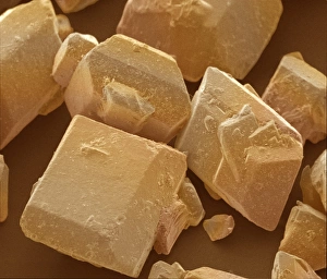 Images Dated 2001: Sugar Crystals Print - SEM Image of Sucrose Crystals