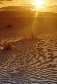 Red Sky At Sunset Prints: Sunset in the desert