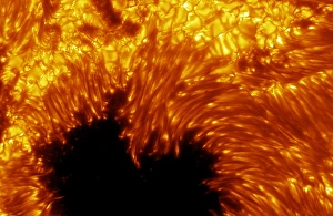 Sunspot Sunspot