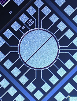 Light Micrograph Images Prints: Surface of microchip, light micrograph C018 / 6389