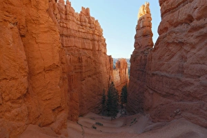 Utah National Park Scenery Prints: Switchbacks, Utah, USA