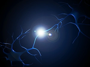 Synapse Computer Art Print