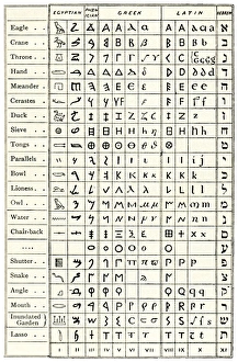 Images Dated 19th April 2010: Print of a table comparing ancient scripts