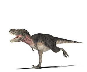 Tarbosaurus dinosaur, computer artwork Tarbosaurus dinosaur, computer artwork