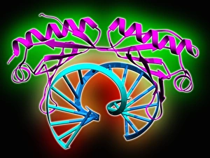Deoxyribonucleic Acid Structure Prints: TATA box-binding protein complex C013 / 8881