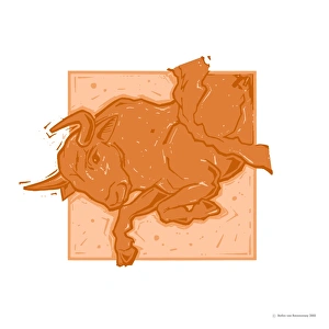 Astrology Illustrations Prints: Taurus
