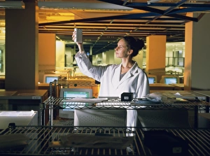 Technician with DNA sequencers at Celera Genomics Technician with DNA sequencers at Celera Genomics